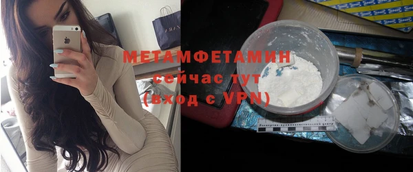 индика Белая Холуница
