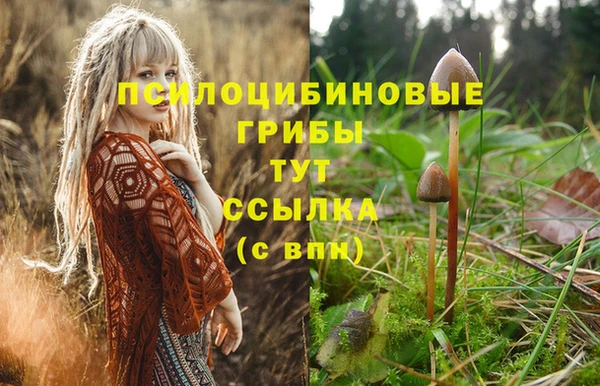 стаф Михайловка