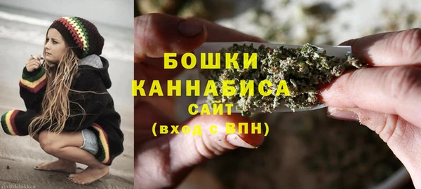 apvp Билибино