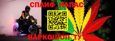 прущие грибы Гагарин