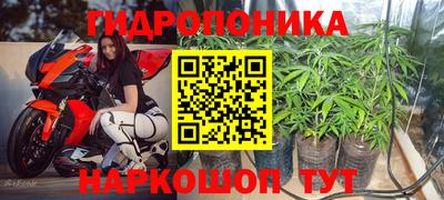 прущие грибы Гагарин