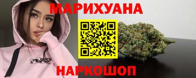 сатива Гай