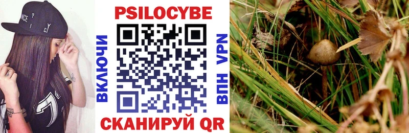Псилоцибиновые грибы MAGIC MUSHROOMS  Моздок 