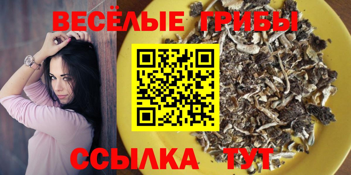 Псилоцибиновые грибы MAGIC MUSHROOMS Моздок