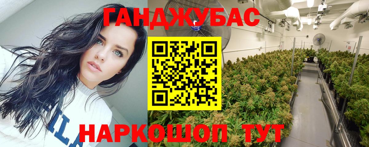 Марихуана MAZAR  Марихуана план  Моздок  Вход с VPN  Шишки марихуана планчик 